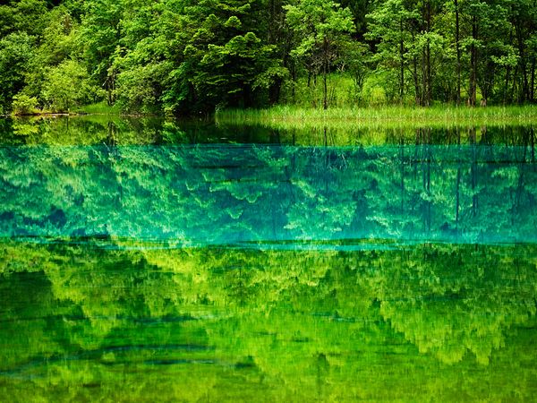 lake-green-morning-china-yamashita_42600_600x450