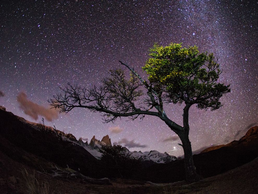 tree-stars-patagonia_Max Seigal, NG, _68271_990x742