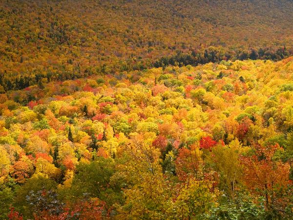 cape-breton-autumn_Reiner Harscher37163_600x450